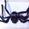 万圣节仿真毛绒蜘蛛，75CM鬼节整人黑蜘蛛