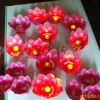 河灯,莲花灯,许愿灯
