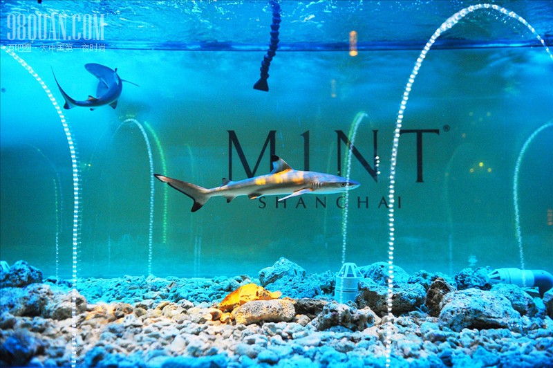 M1NT Shanghai