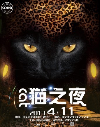 猫之夜
