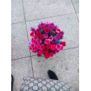 昆明招酒吧vj，需会平面和视频