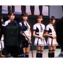 江西场急招500模特2组。163以上