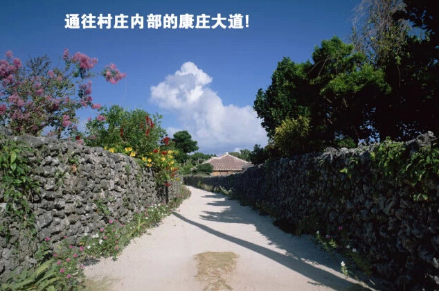 北京拿铁酒吧光棍节欢乐策划，“光棍村”主题派对！