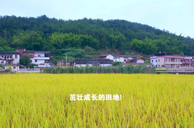 北京拿铁酒吧光棍节欢乐策划，“光棍村”主题派对！